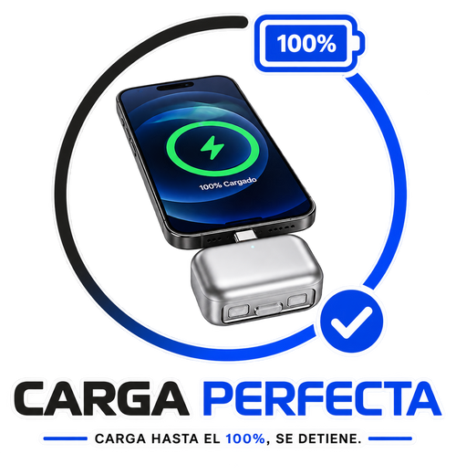 Carga Perfecta